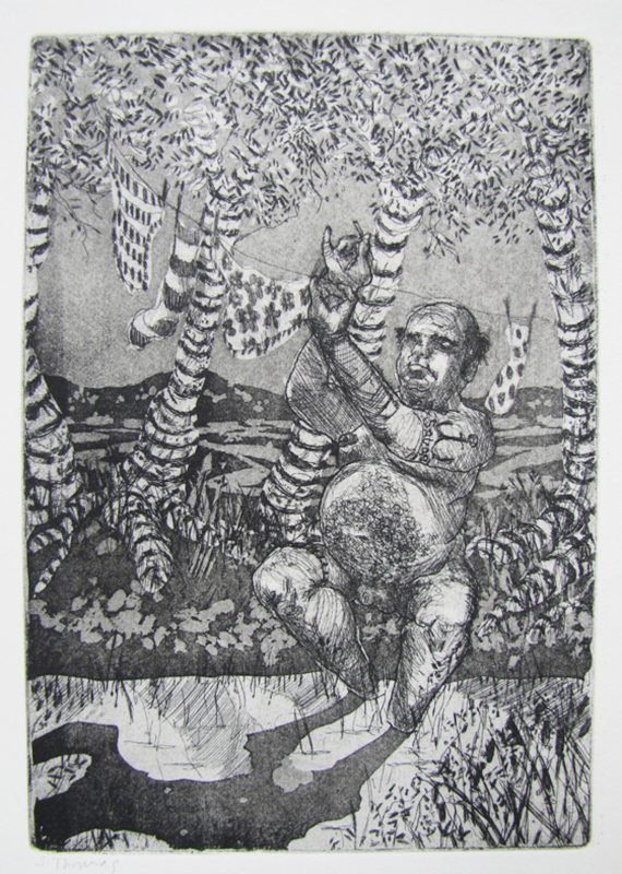 Daves Washes Smalls Au Naturale 2012 Etching and aquatint 30 x 20 cm