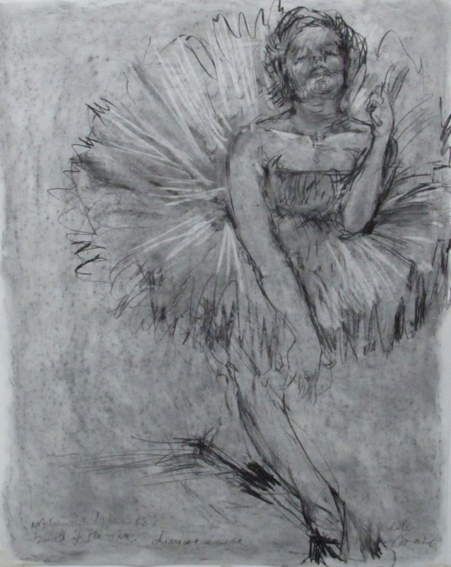 Lilly Gestural Stage 2012 Charcoal on paper 1200 x 80 cm