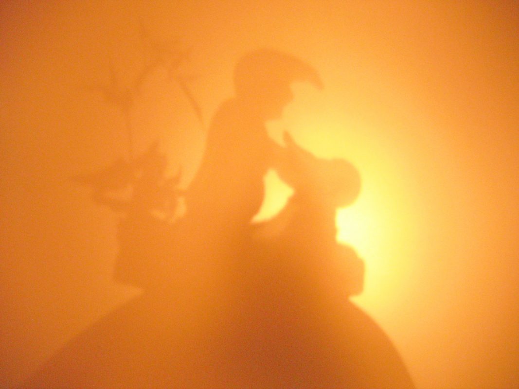 Nights at Fairy Hill, shadow installation variations, 2008